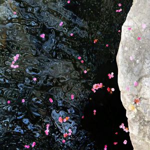 工藤拉拉电影免费观看
